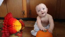 Turkey, pumpkin, baby, Thanksgiving